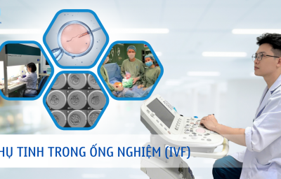 THỤ TINH TRONG ỐNG NGHIỆM (IVF)